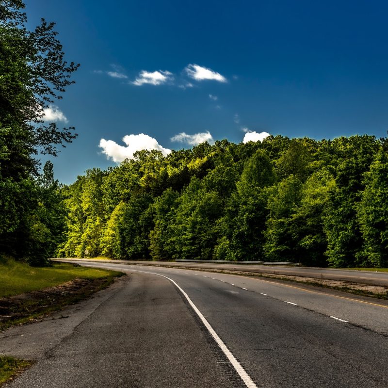 Rural asphalt freeway in South Carolina surrounded by scenic greenery under the blue sky
